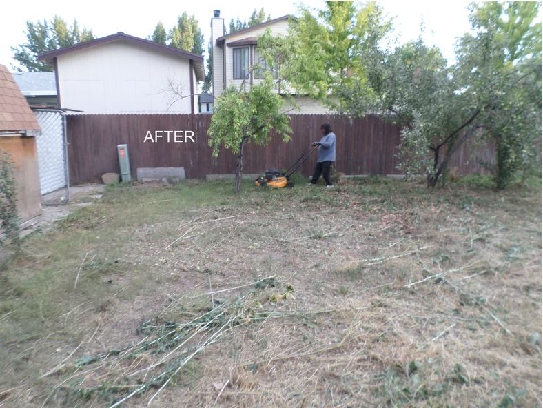 A man in a yard with a lawn mower