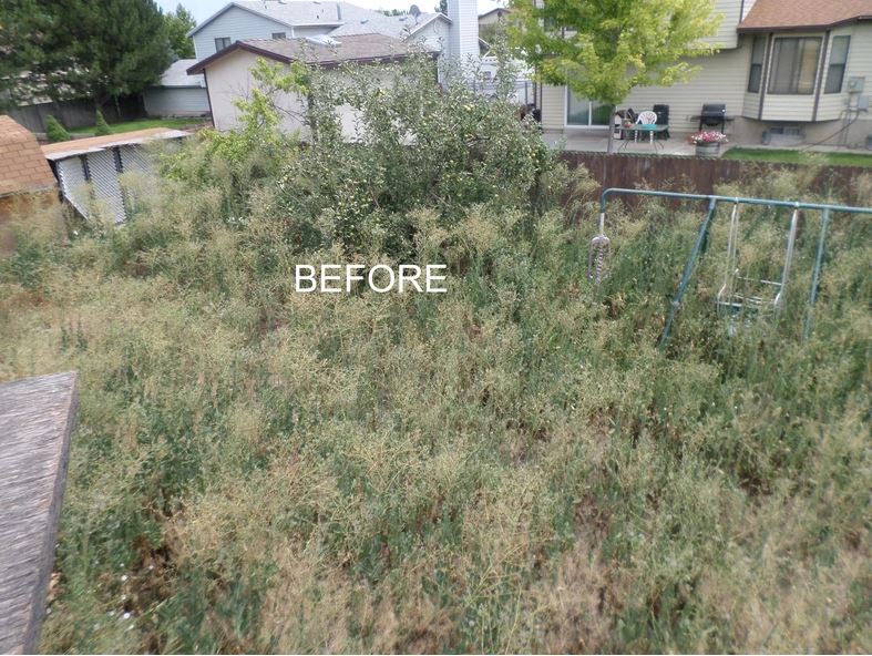 A yard with a fence and a sign that says before